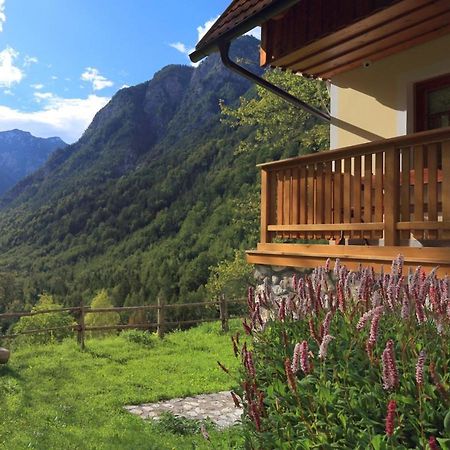 Zadnjica Holiday House Соча Экстерьер фото